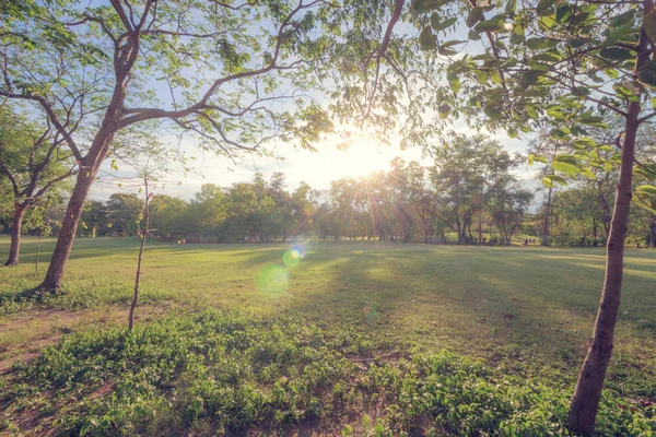 Mükemmel doğa ve günbatımı Park