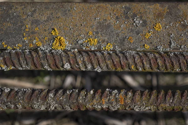 Ferrugineus Armatuur Bedekt Met Mos — Stockfoto