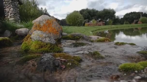 Красивый Ручей Камнями Покрытыми Мхом — стоковое видео