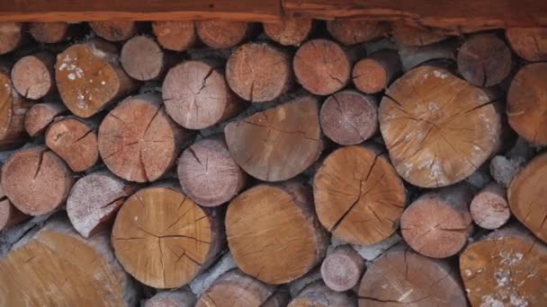 Krásně Položené Dřevěné Klády Dvoře — Stock video