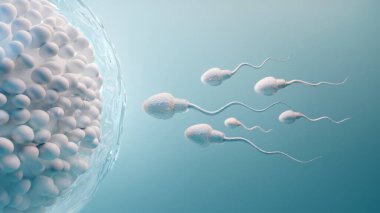 Sperm ve yumurta hücresi. Mavi arka planda 3D doğal döllenme.