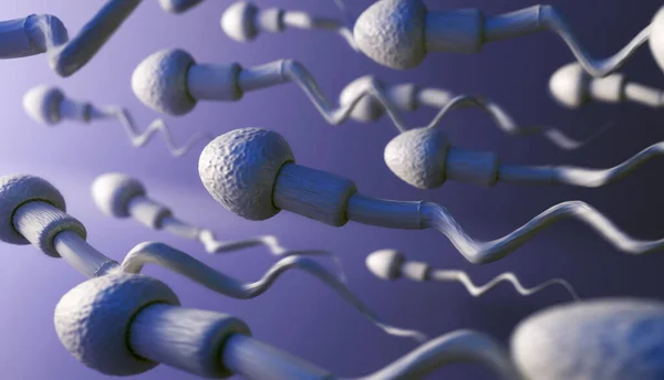 Illustrazione Spermatozoi Che Spostano Sinistra — Foto Stock