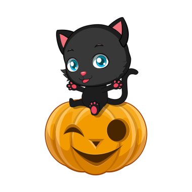 Cadılar Bayramı Balkabağı üzerinde oturan sevimli siyah kedi