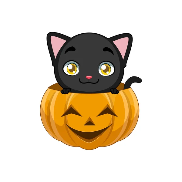 Cute black cat in a carved pumpkin — Stock Vector