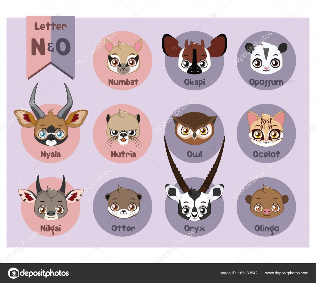 Animal portrait alphabet - Letter N and O Stock Illustration by ...