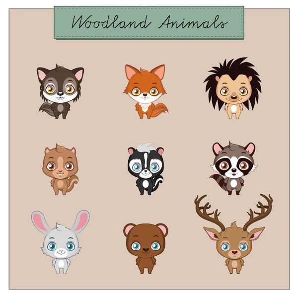 Collection of woodland animals — Stock Vector