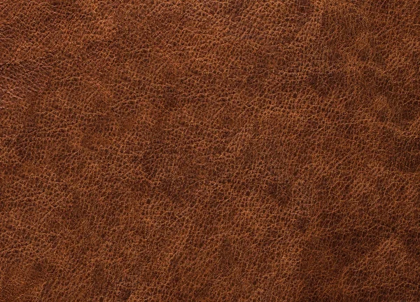 Koyu kahverengi deri dokusuna kaba