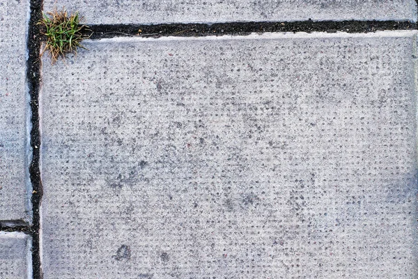 Pavimentación combinada con un pedazo de hierba y costuras —  Fotos de Stock