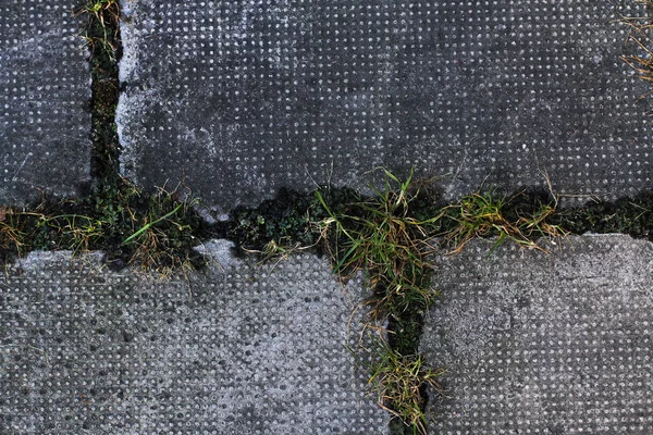 Grandes azulejos de la ciudad en el pavimento con hierba verde - una textura interesante de asfalto —  Fotos de Stock