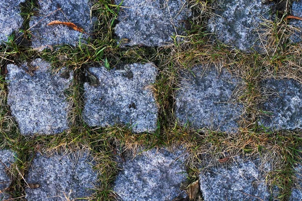 Pavimentos de piedra de textura urbana en hierba de otoño —  Fotos de Stock