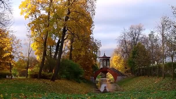 Вид на осенний парк с небольшим прудом: желтые, красные, зеленые деревья — стоковое видео