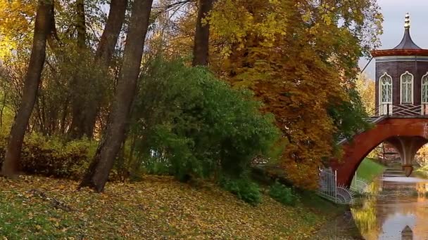 Podzim v lese: čínský pavilon stojí na vodní kanál, uprostřed dne, krásné žluté a červené lesní — Stock video
