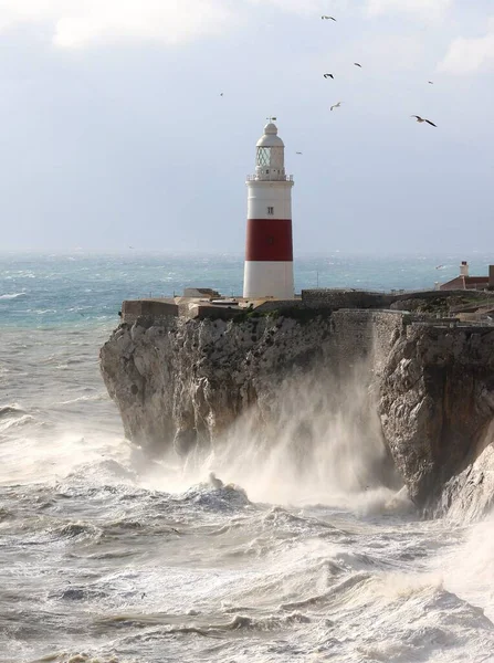 Deniz feneri kıyıda bir uçurumun kenarında, deniz / okyanus çevrili.