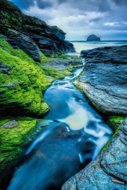 Woodland stream flowing over moss-covered trees and rocks clipart