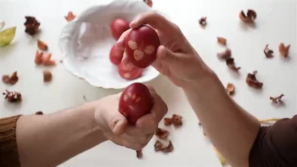 손으로 꽃봉오리 — 비디오