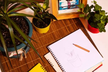 Çiçek saksılarının önünde defter ve kalemle küçük bir masanın kuş bakışı görüntüsü..