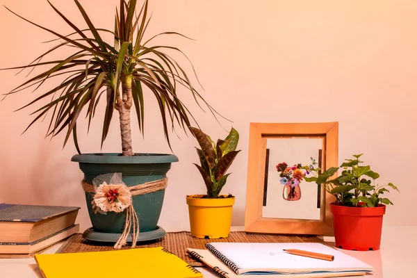 Small Desk Notebooks Pencil Front Flower Pots — Stock Photo, Image