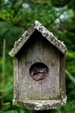 Orman bahçesinde asılı bir kuş evi