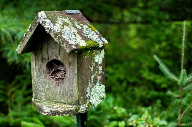 Orman bahçesinde asılı bir kuş evi