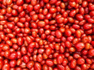 Yakın plan taze, olgun, kırmızı domatesler.