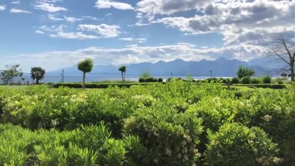 Beau Parc Verdoyant Antalya Avec Montagnes Mer Méditerranée Sur Fond — Video