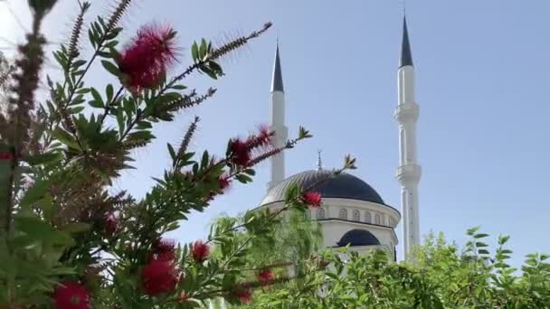 New Beautiful White Mosque Turkey Red Flowers Sunny Day Blue — Stock Video
