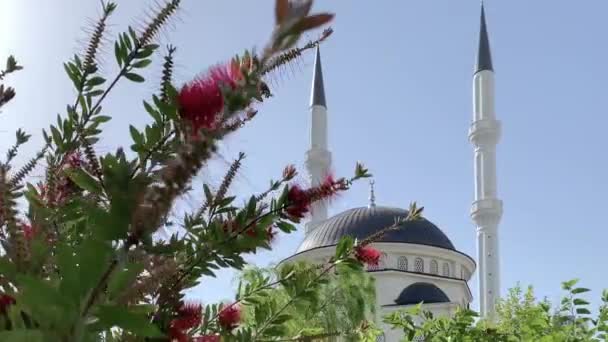 Nieuwe Mooie Witte Moskee Turkije Met Rode Bloemen Een Zonnige — Stockvideo