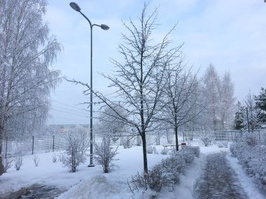 Beyaz kış masalı manzarası. Parktaki ağaçlar karla kaplı. Noel ve Yeni Yıl ruh hali konsepti stok imajı. 