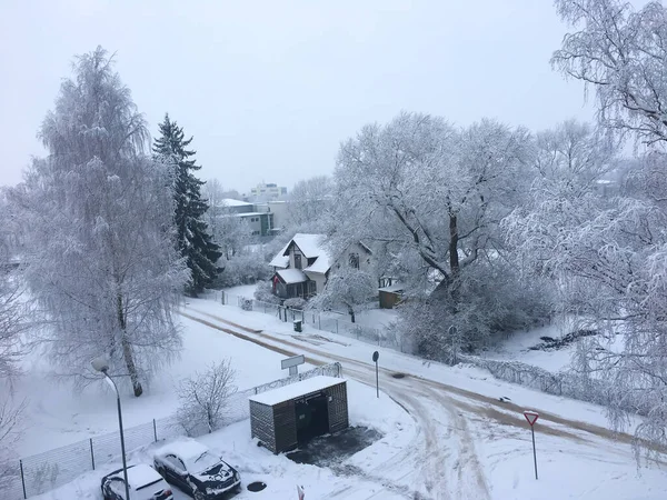 Белая Зимняя Сказка Пейзаж Деревья Дома Машины Покрытые Снегом Концепция — стоковое фото