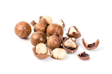 Beyaz arka planda Macadamia fındıkları