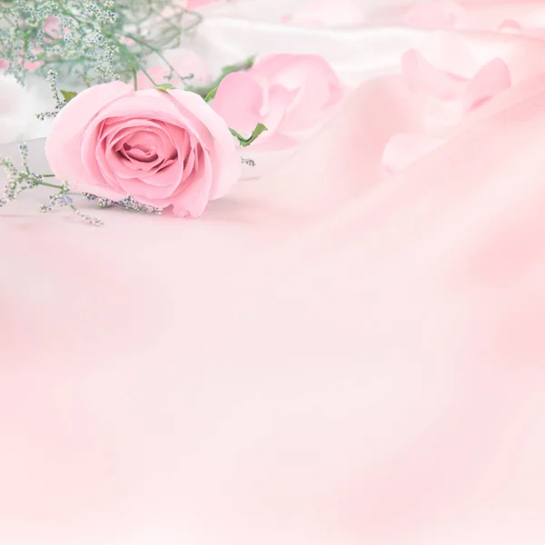 Doce suave rosa flores para o amor romance fundo — Fotografia de Stock