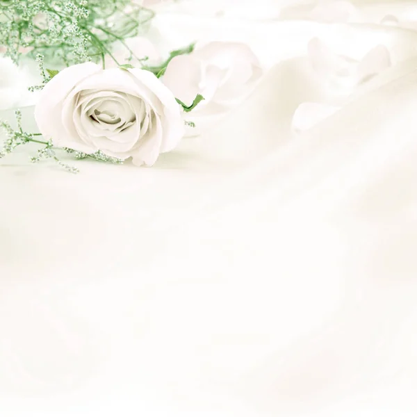 Doce suave rosa flores para o amor romance fundo — Fotografia de Stock