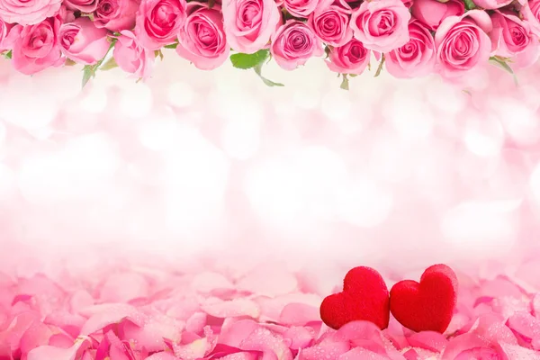 아름 다운 신선한 달콤한 핑크 장미와 붉은 h의 추상 배경 — 스톡 사진