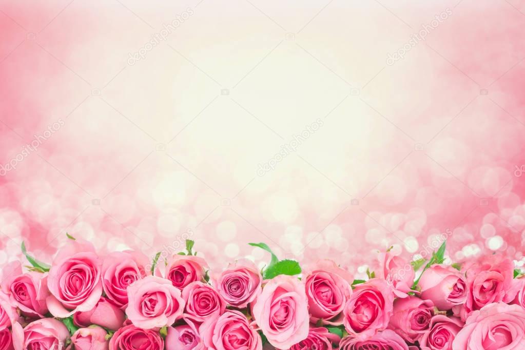 Border of Beautiful fresh sweet pink rose for love romantic valentine