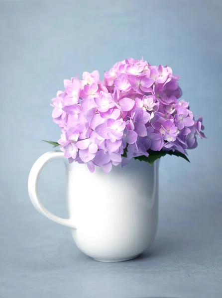 The sweet  hydrangea flowers in white vase — Stock Photo, Image