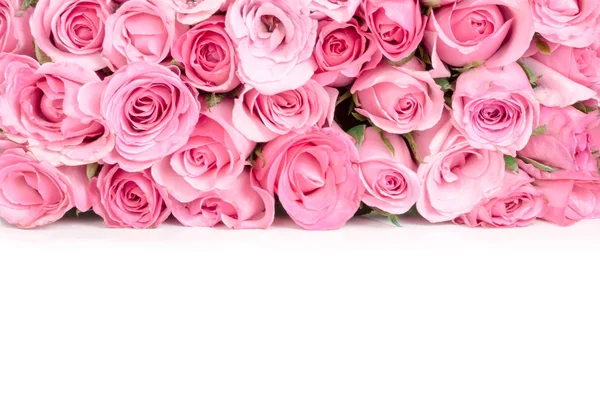 Borda de belo rosa doce fresco aumentou para o amor romântico — Fotografia de Stock