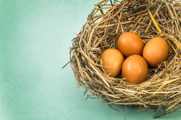 잔 가지에 갈색 계란 중첩 — 스톡 사진