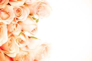 kopya alanı beyaz zemin üzerine tatlı portakal yukarıya kapatmak