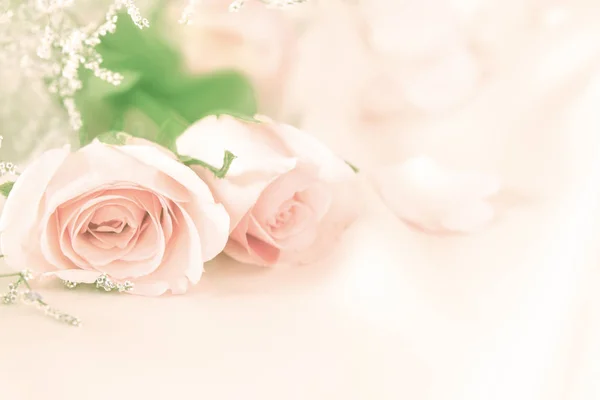Doce suave rosa flores para o amor romance fundo — Fotografia de Stock