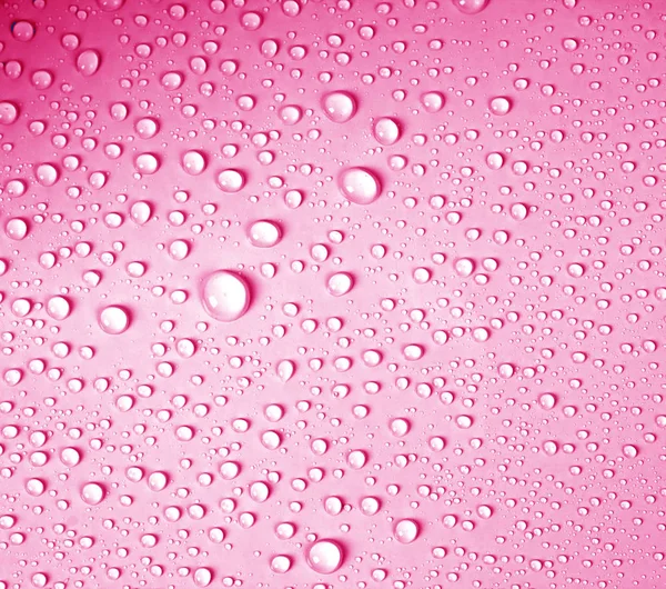 De waterdruppel op verse lichte roze achtergrond — Stockfoto