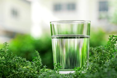 doğal yeşil zemin üzerine serin temiz su