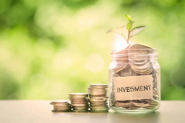 Plant growing  in Coins glass jar with investment paper label — Stock Photo, Image