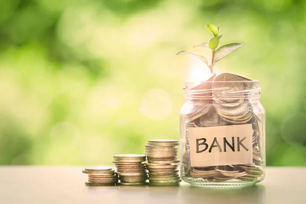 Plant growing  in Coins glass jar for money saving and investmen — Stock Photo, Image