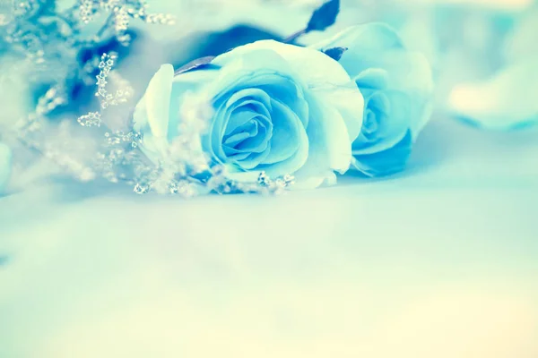 Granicy miękkie piękny świeże słodkie niebieskich róż miłości — Zdjęcie stockowe