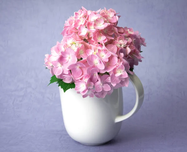 The sweet  hydrangea flowers in white vase — Stock Photo, Image