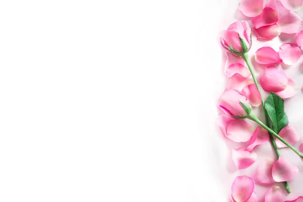Um buquê doce rosa rosas pétala em tecido de seda branca macia  , — Fotografia de Stock