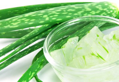 dilimlenmiş ve yaprak taze aloe vera, s olarak doğal açık jel