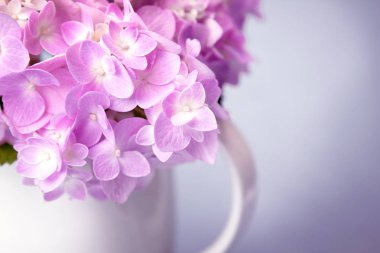 tatlı ortanca çiçekleri beyaz aranjman