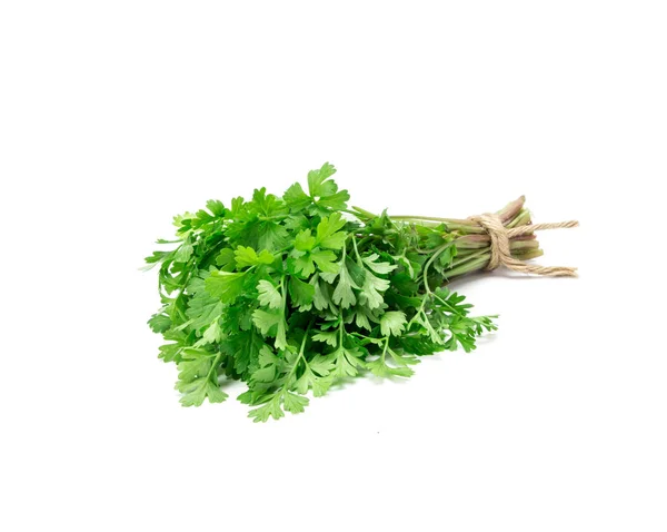 Fresh Green parsley on  white background — Stock Photo, Image