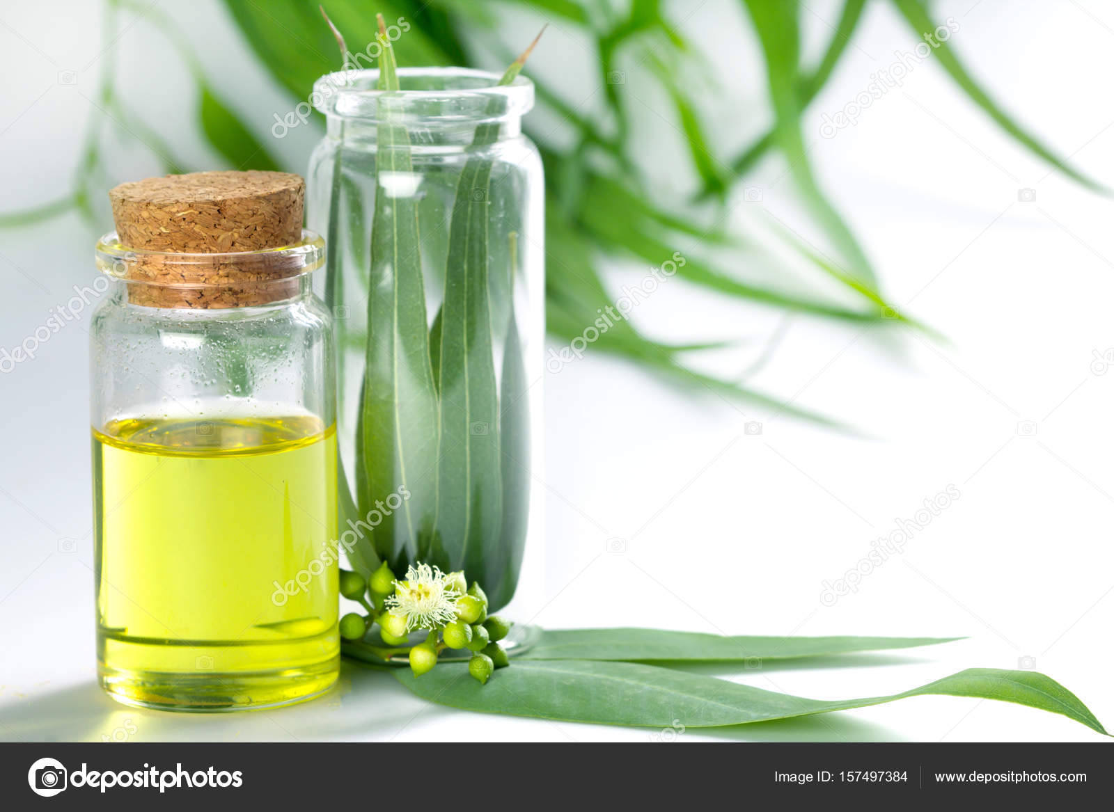 Массажное масло Shiatsu Masculine Амбра и масло эвкалипта, 100 мл 67008 - SHIATSU - Масла для массажа - Купить